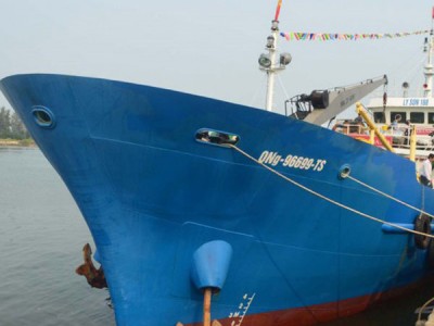 SƠN HẢI ÂU